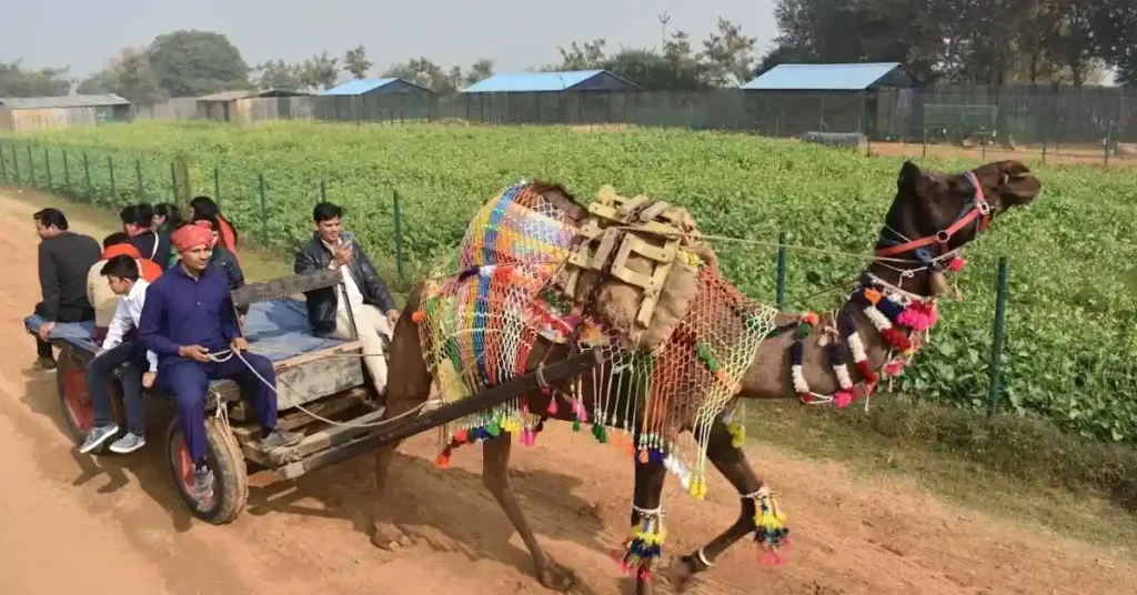 PRATAPGARH FARMS