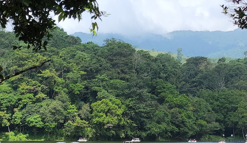 WAYANAD