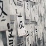 Soutaipasu: Tracing the Linguistic, Cultural, and Digital Evolution of a Modern Japanese Concept