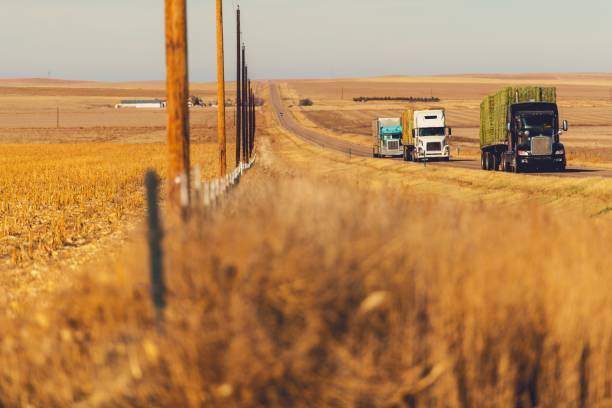 co trucker​