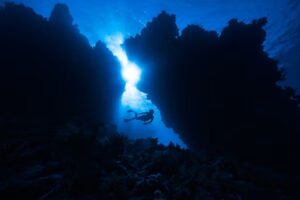 Exploring the Depths: A Comprehensive Guide to Pertadad