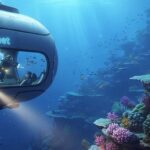 Exploring the Uncharted: A Deep Dive into the World of allcrazy.net